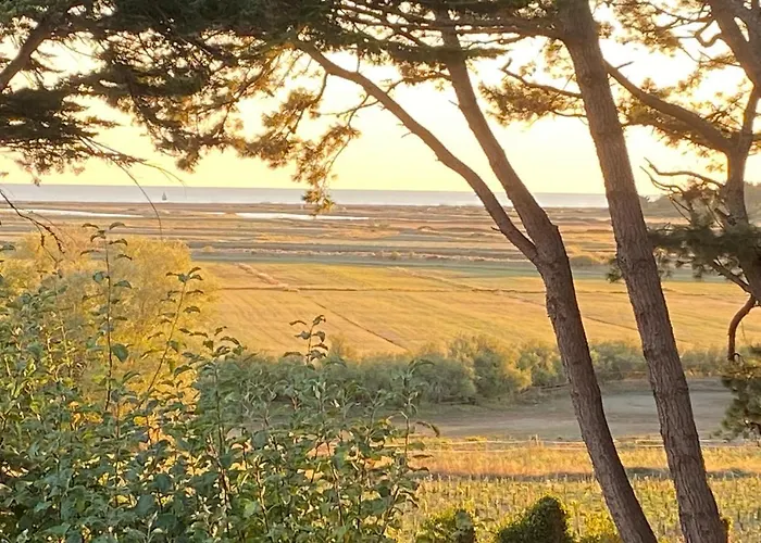Villa Vieilles Vignes Vue Mer Billiers photo