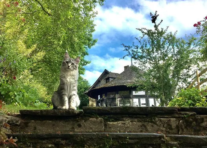 Bed And Breakfast A Rochefort-En-Terre photo