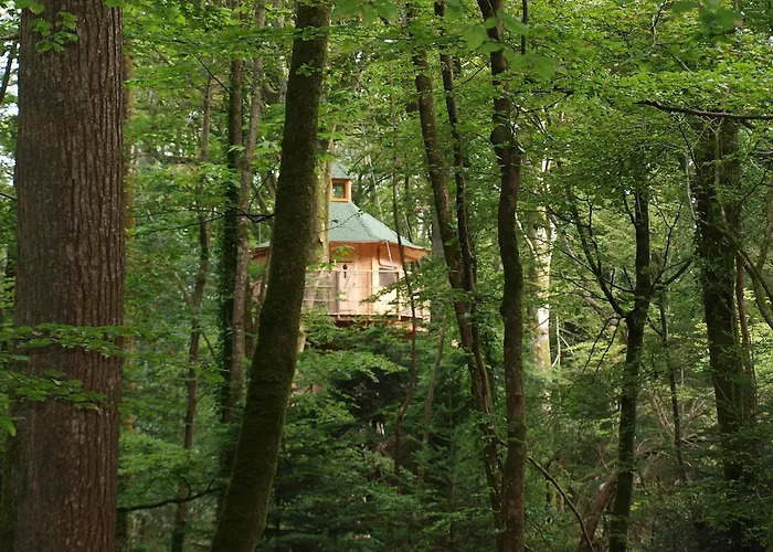 Les Cabanes De Kermenguy Cleder photo